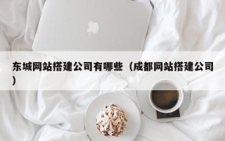 东莞东城网站搭建公司有哪些（成都网站搭建公司）